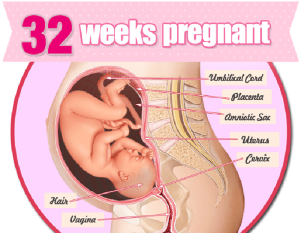 mang thai 32 tuan - Bà bầu mang thai 32 tuần cần biết những gì?
