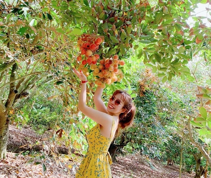 vuon trai cay 9 hong - Top 5 vườn trái cây Cần Thơ nổi tiếng nhất hiện nay